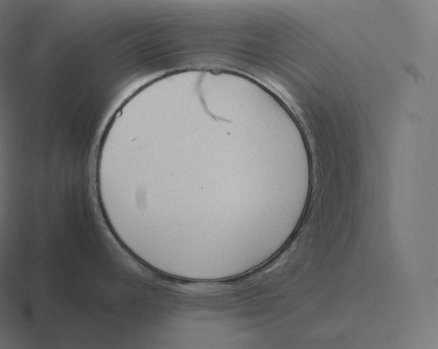 X0000116311392200912291442