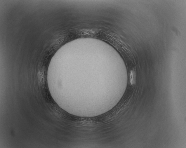 X0000116311395200912291442