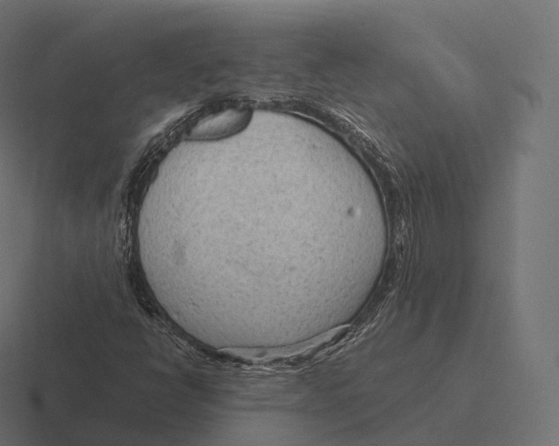 X0000116311398200912291442