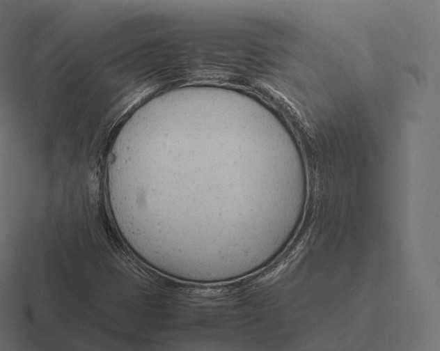 X0000116311401200912291442