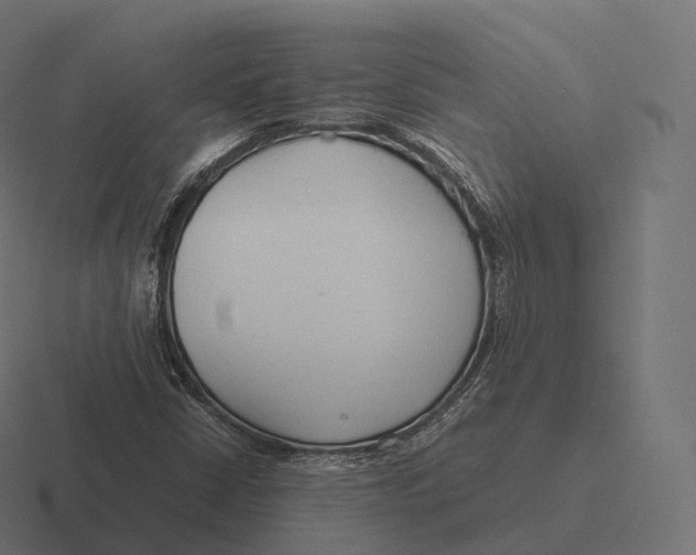 X0000116311402200912291442