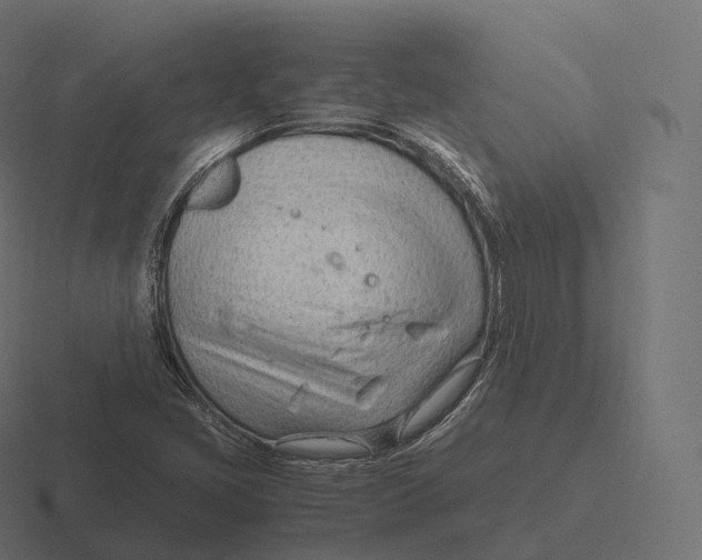 X0000116311405200912291442