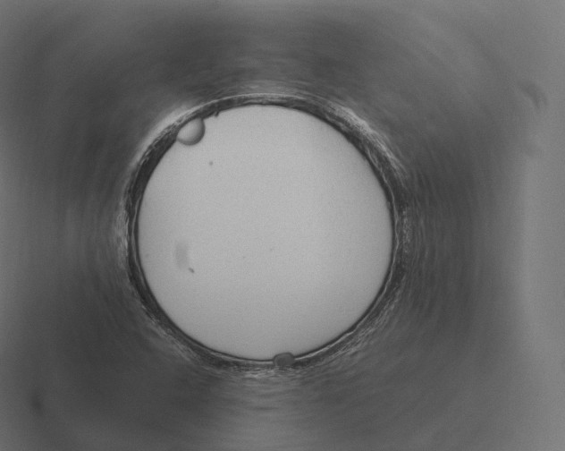 X0000116311408200912291442