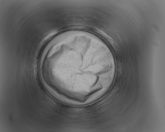 X0000116311411200912291442