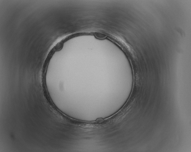 X0000116311412200912291442