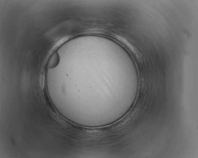 X0000116311413200912291442