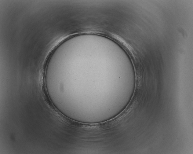 X0000116311415200912291442