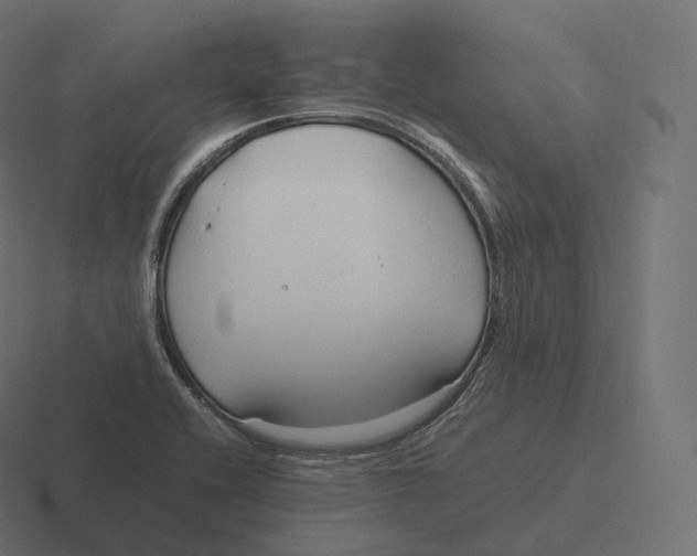 X0000116311416200912291442