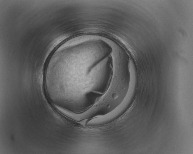 X0000116311418200912291442