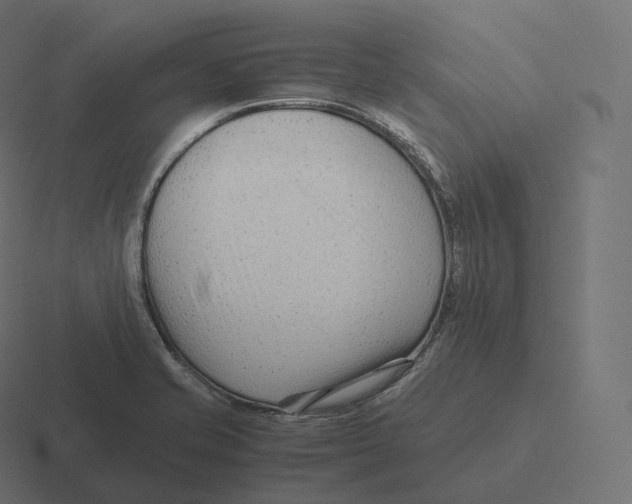 X0000116311421200912291442