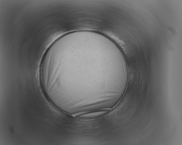 X0000116311423200912291442