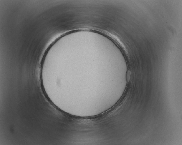 X0000116311424200912291442