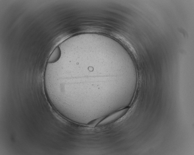 X0000116311425200912291442