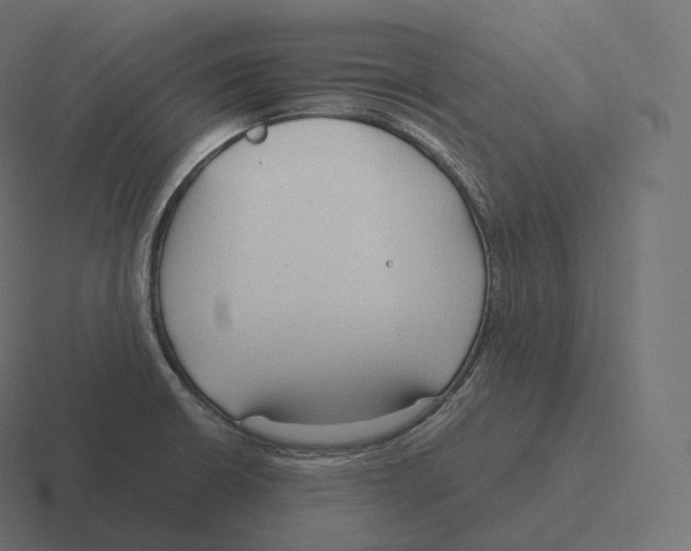 X0000116311426200912291442