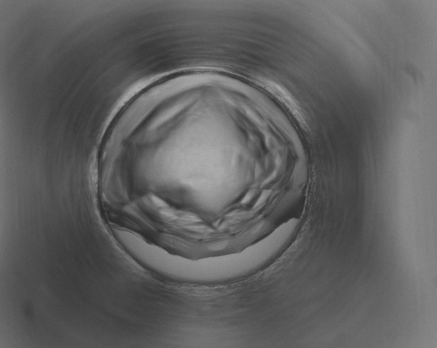 X0000116311428200912291442