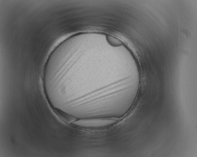 X0000116311429200912291442