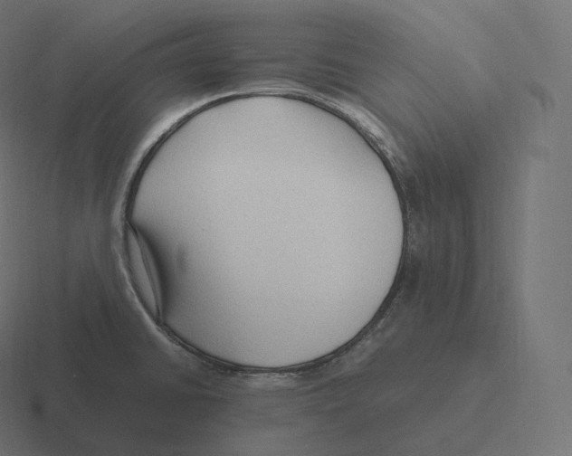 X0000116311430200912291442