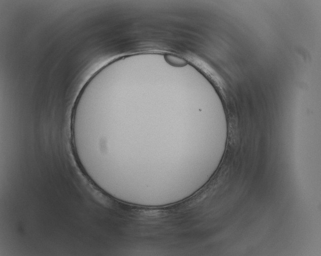 X0000116311431200912291442