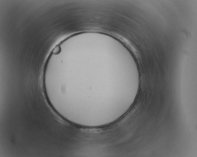 X0000116311432200912291442