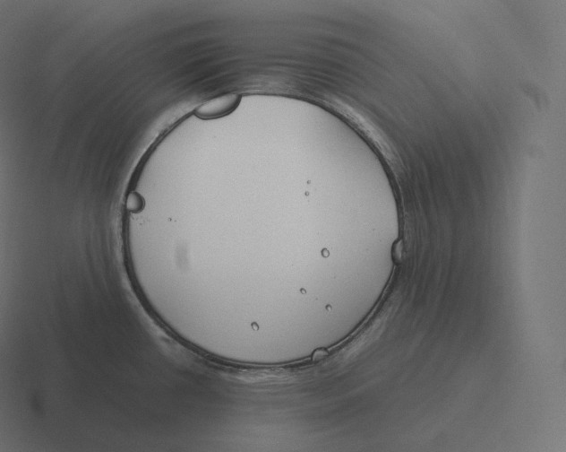 X0000116311434200912291442