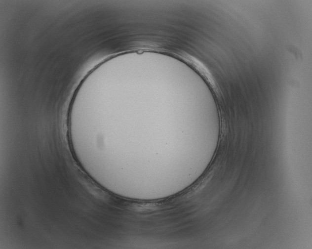 X0000116311435200912291442