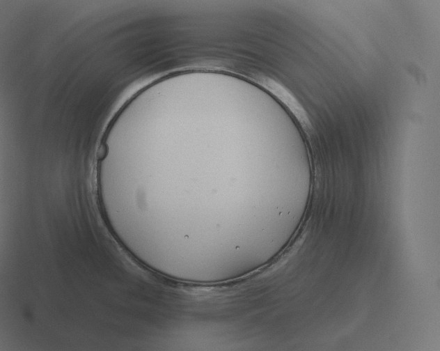 X0000116311436200912291442