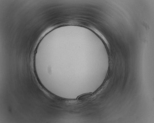 X0000116311437200912291442