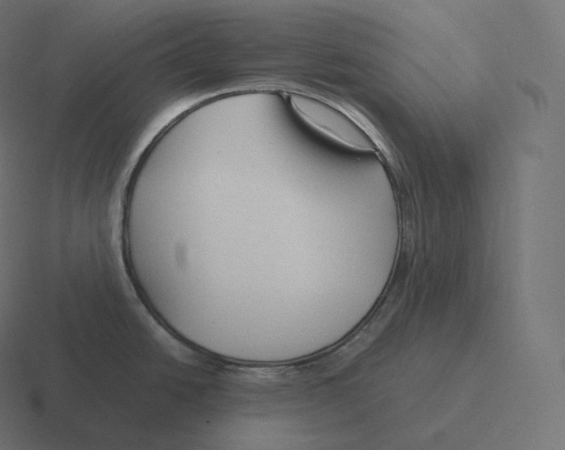 X0000116311438200912291442