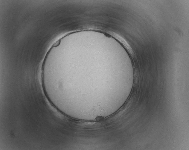 X0000116311439200912291442