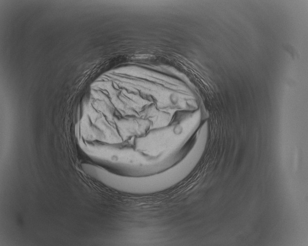 X0000116311441200912291442