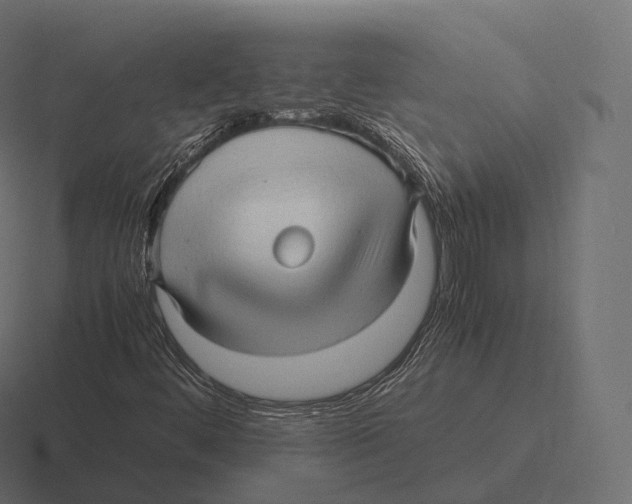 X0000116311444200912291442