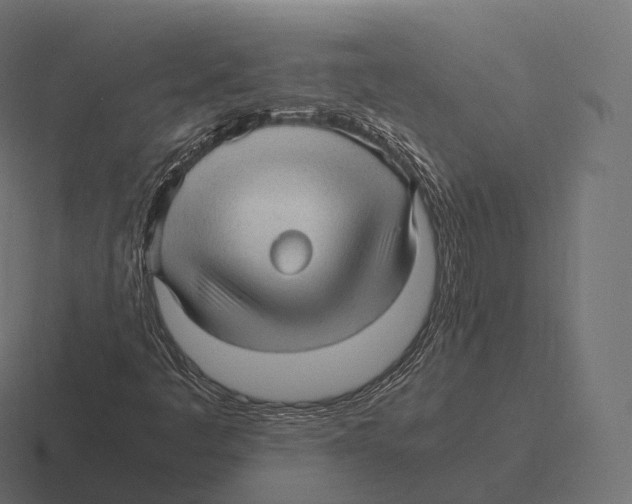 X0000116311445200912291442