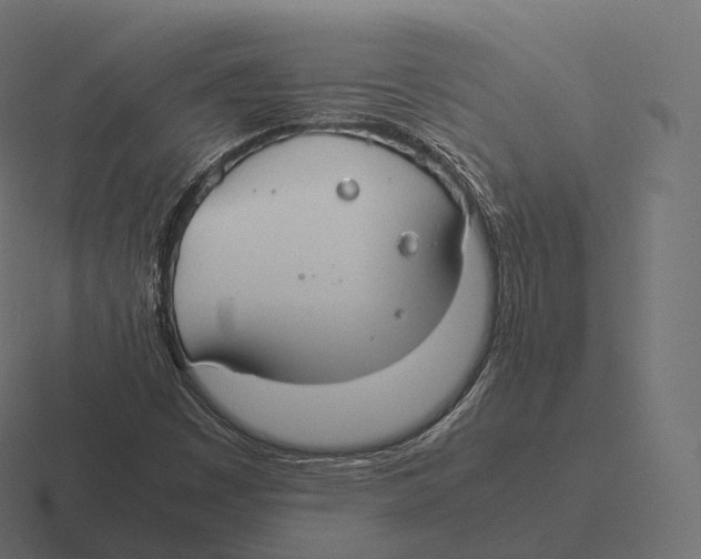 X0000116311449200912291442