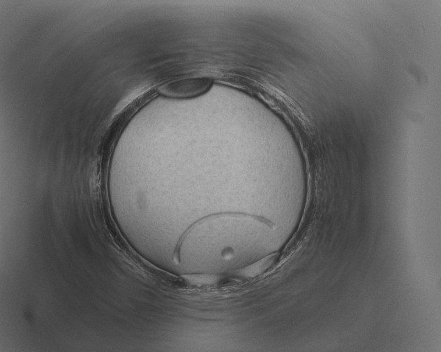 X0000116311450200912291442