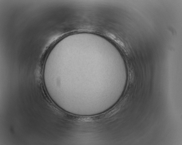 X0000116311454200912291442