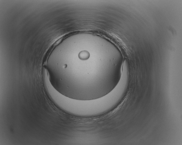 X0000116311457200912291442