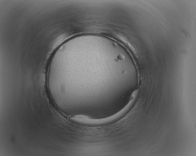 X0000116311459200912291442