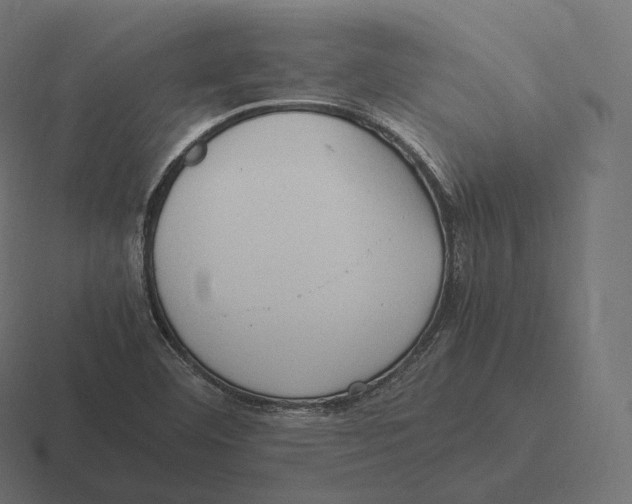 X0000116311460200912291442