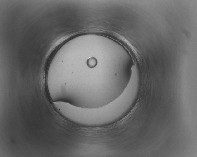 X0000116311461200912291442