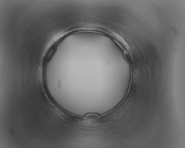 X0000116311464200912291442