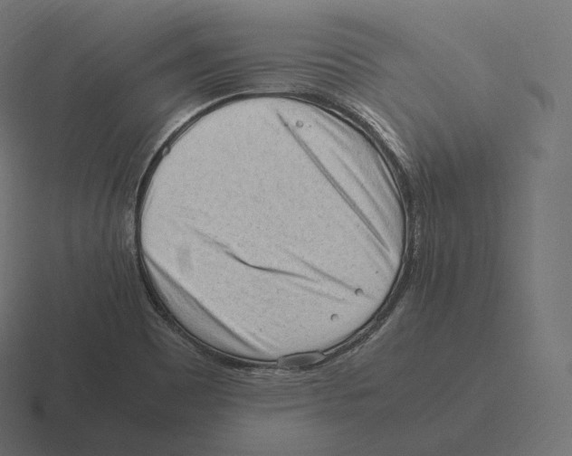 X0000116311465200912291442