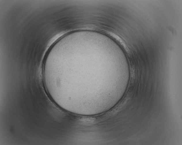 X0000116311466200912291442