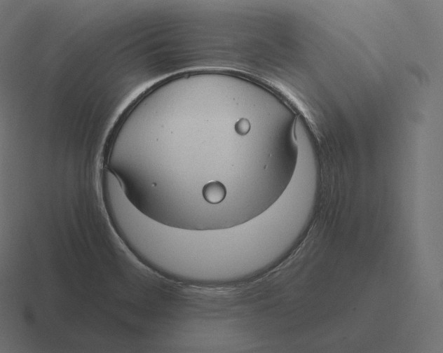 X0000116311468200912291442