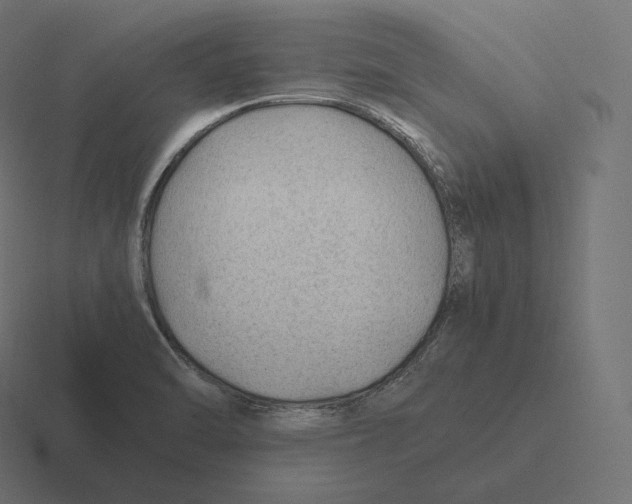 X0000116311470200912291441