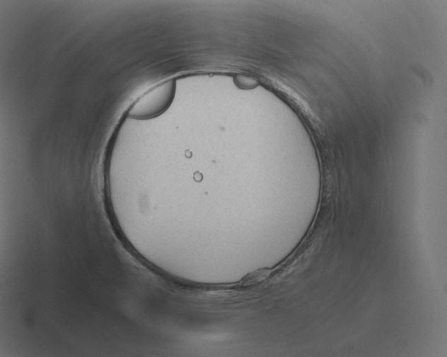 X0000116311471200912291441