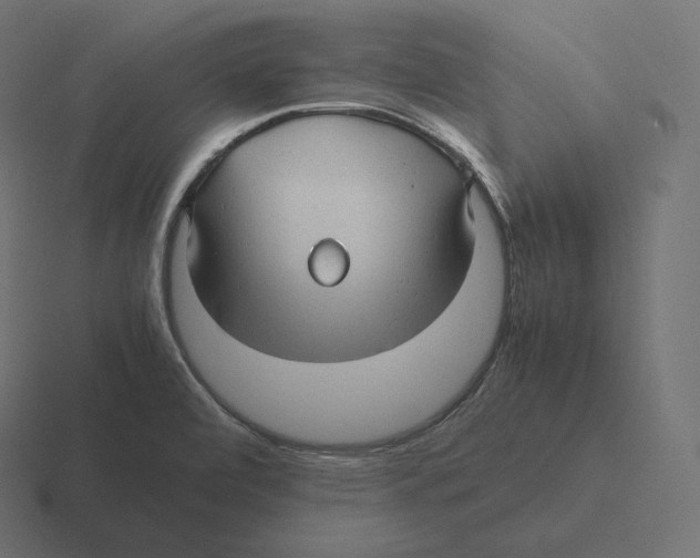 X0000116311472200912291441