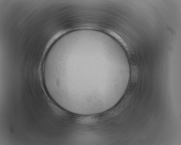 X0000116311474200912291441