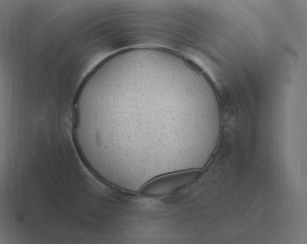 X0000116311476200912291441