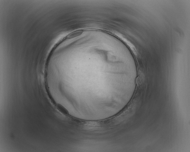 X0000116311477200912291441