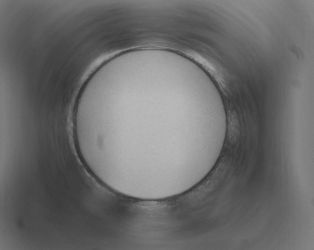 X0000116311478200912291441